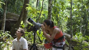 Read more about the article Bird Watching Volcanoes National Park