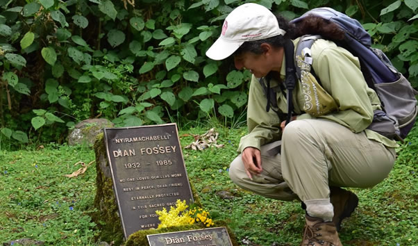You are currently viewing Hike to the Dian Fossey gravesite trail Volcanoes National Park